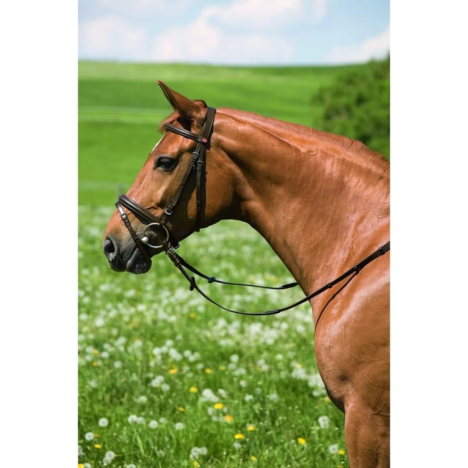 Hoofdstel Kieffer Belinda with chrome fitting