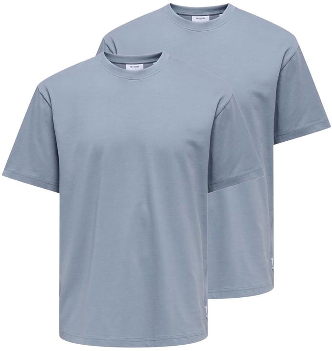Only & Sons Heren t-shirt 2 pack Onsfred