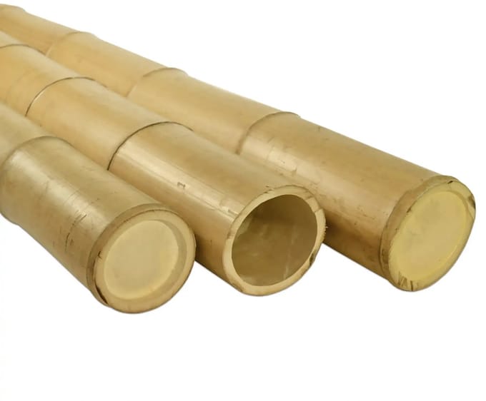 Masters of Bamboo® Bamboe Paal Moso - 200 cm - Ø 10-12 cm
