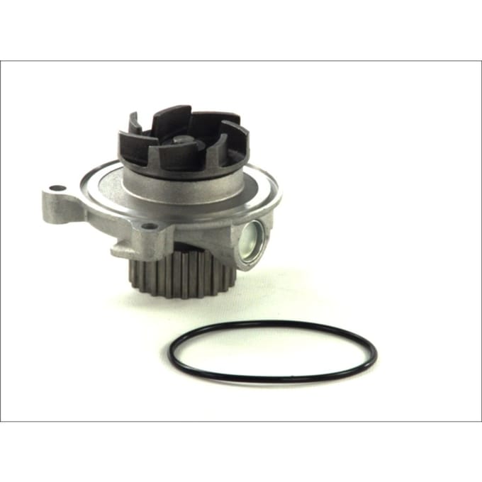 Waterpomp THERMOTEC D1A027TT