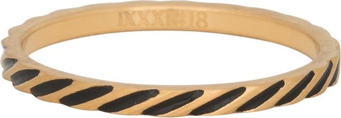 iXXXi Vulring 2mm Slanting stripes ring Mat Goudkleurig - maat 17
