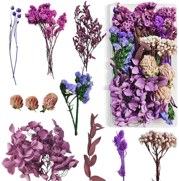 Dailygoods - droogbloemen wit (paars)