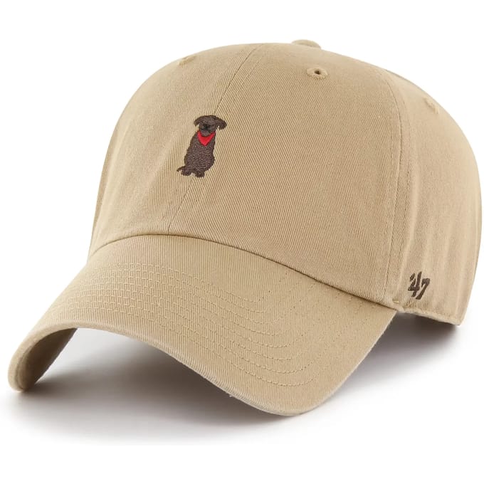 47 Dog Base Runner Icon Clean Up Pet Beige