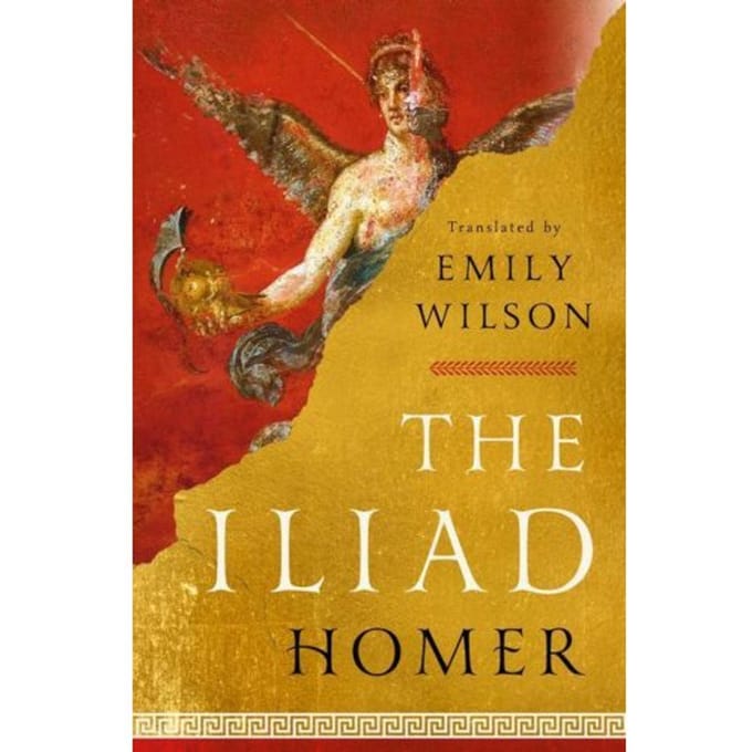 De Ilias van Homerus Hardback Boek 9781324001805