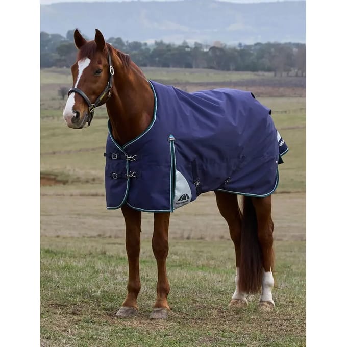 Outdoor paardendeken Weatherbeeta Comfitec Plus Dynamic 100g