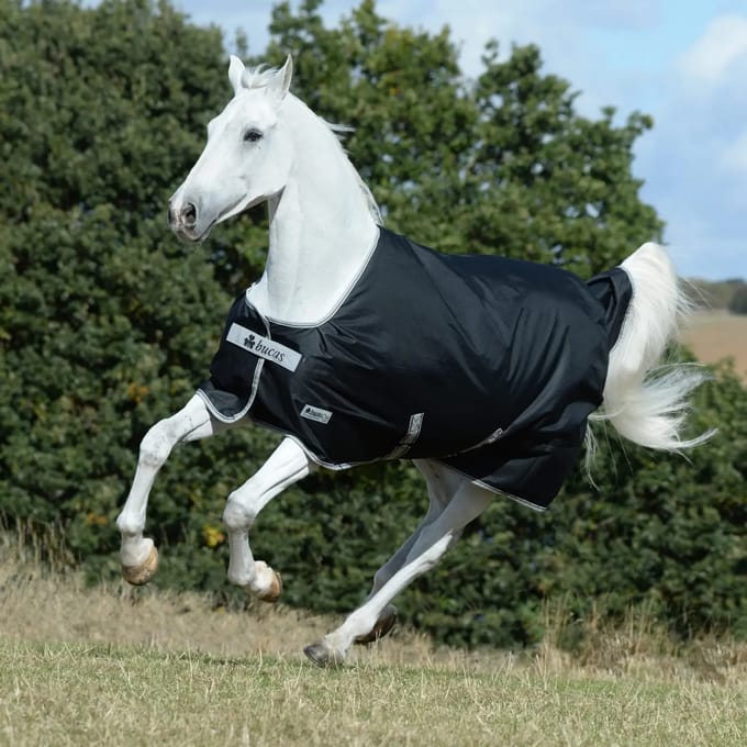 Buiten deken voor paard verjaardag Bucas 200g