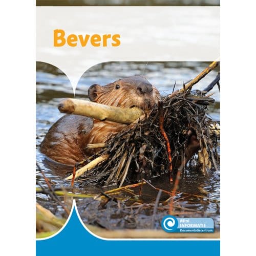 Bevers - Mini Informatie - Ditte Merle