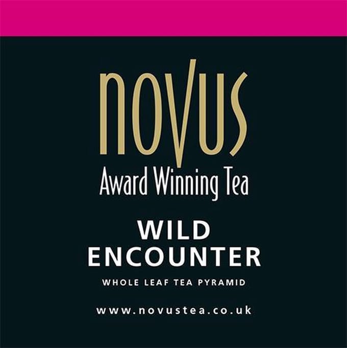Novus Tea Wild Encounter 50 stuks Piramide Theezakjes - Award Winning Tea