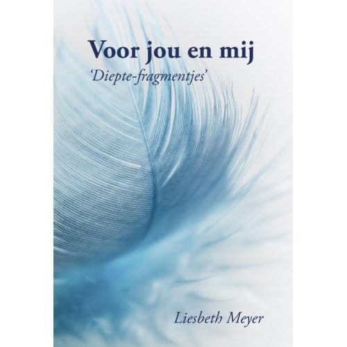 Voor Jou En Mij - Liesbeth Meyer