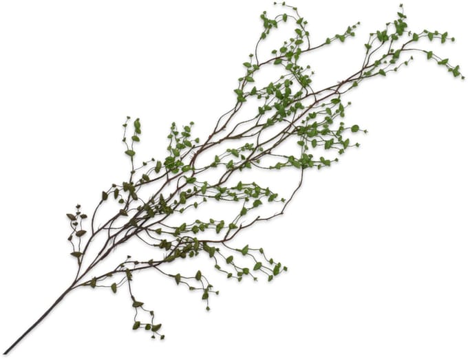 Silk-ka - Kunstplant - groen - H134 cm