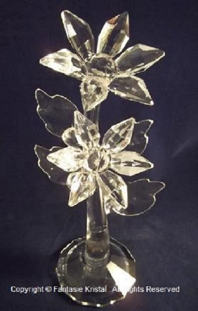 Geslepen bloemen op tak