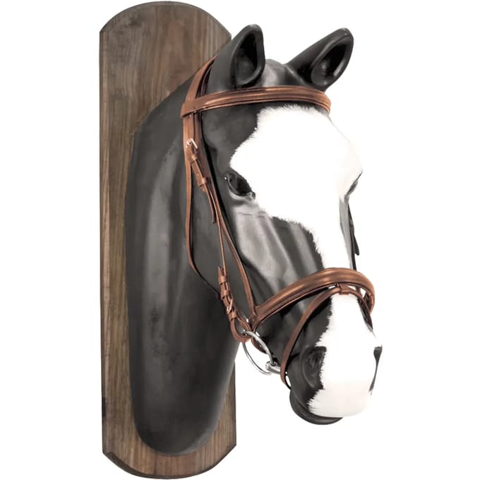 Paardenbits met katoenen teugels Derby