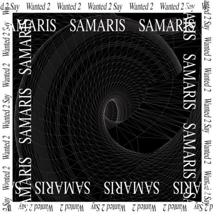 Samaris - Wanted 2 Say (12" Single)