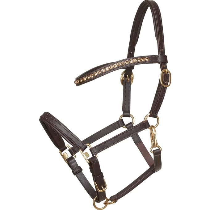 Leren halster voor paarden HorseGuard