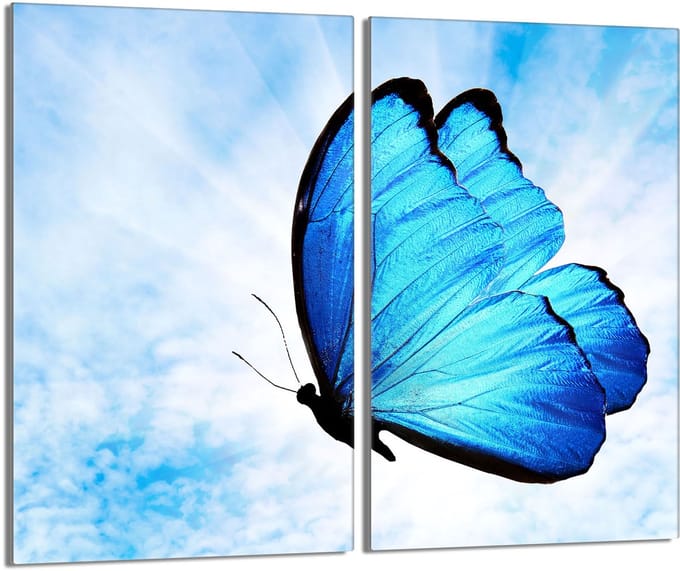 TMK ArtDeko - Snijplank - Glas - 2x 30x52 cm - Motyl