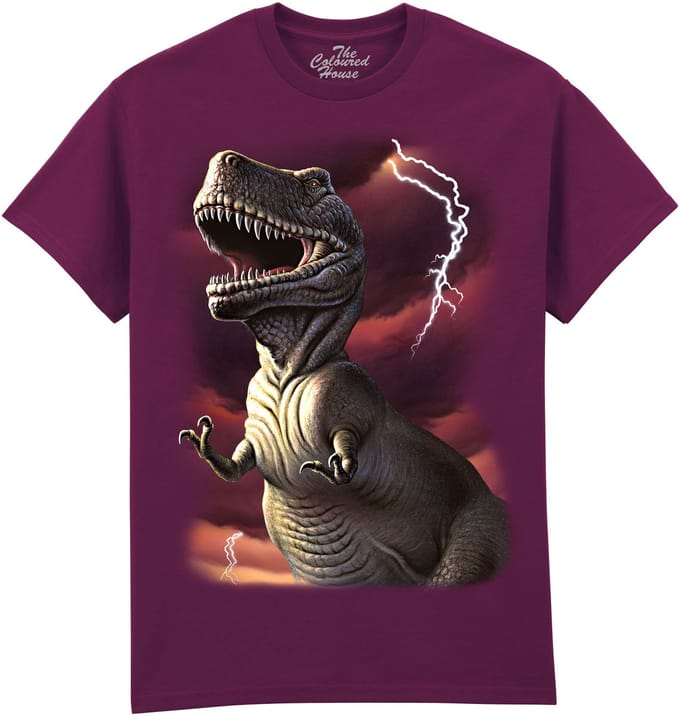 Dinosaurus Lightning Rex The Coloured House T-shirt M