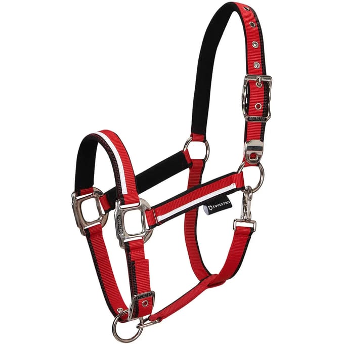 Nylon paardenhalster Equestro White Trim