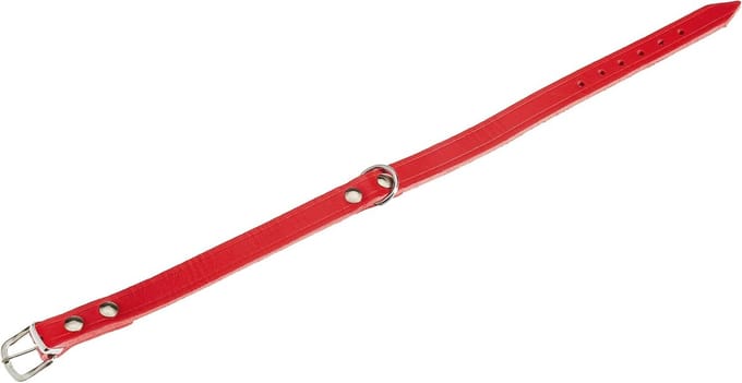 Halsband Rondo voor Honden - Geklonken Leer, 42 cm, Rood