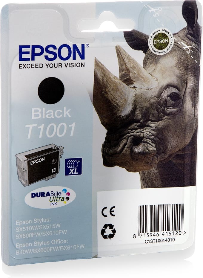 Epson T1001 - Inktcartridge / Zwart