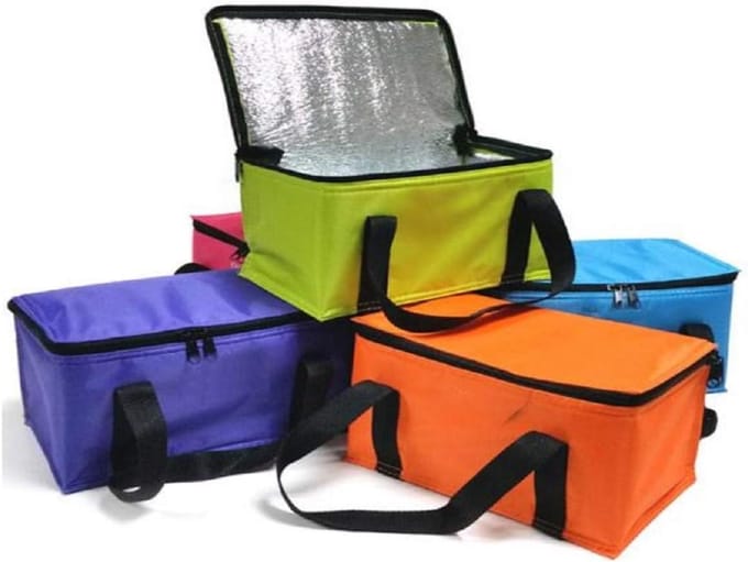 Opvouwbare Koeltas 9,5 Liter voor Picknick en Strand