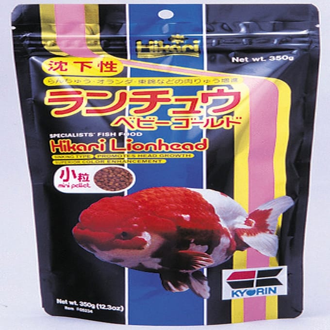 Hikari lionhead leeuwekop mini 100gr