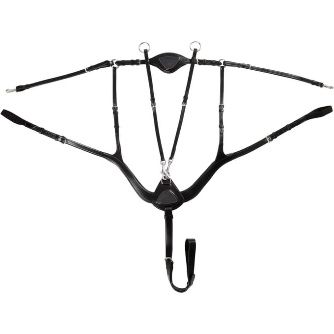 Leren Plastron 5-Punts Bevestiging Acavallo
