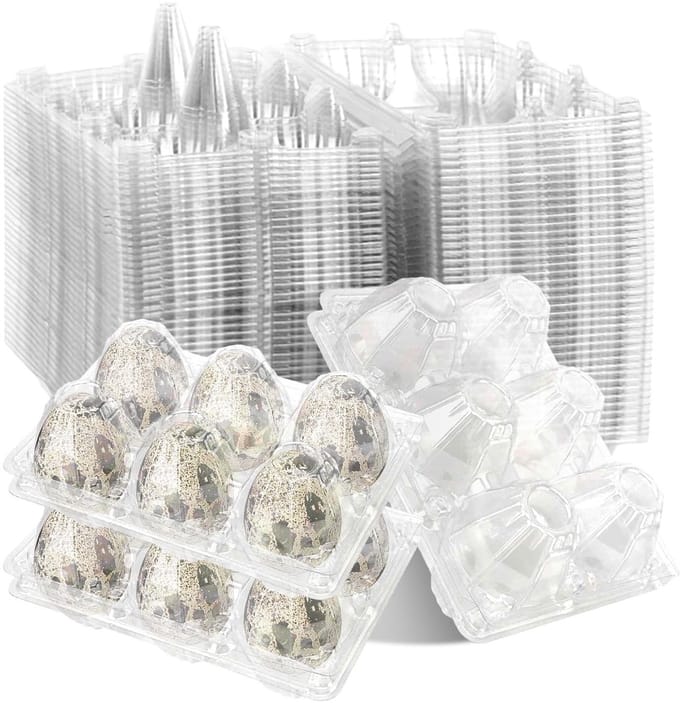 100 Stuks Quail Egg Boxes - Plastic Eieren Dozen met 6 Compartimenten voor Kweek en Opslag
