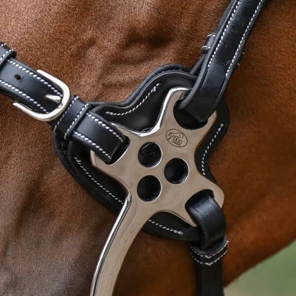 Takken van hackamore Jump'In