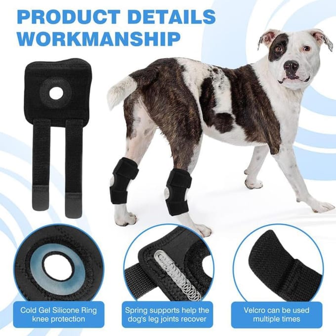 Genouillère pour chien adaptée à la récupération de la perte de stabilité causée par black
