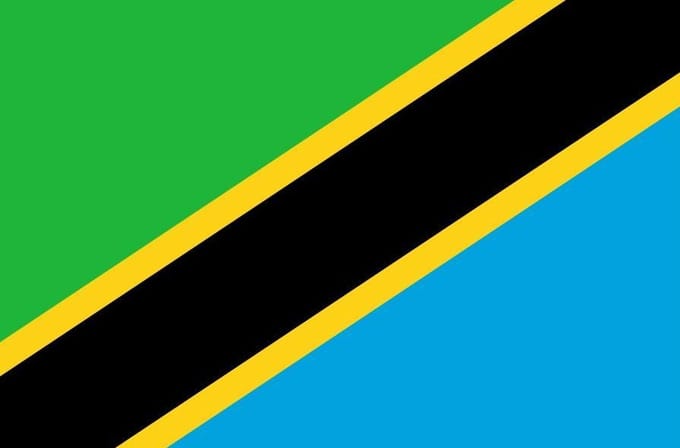 Vlag Tanzania 30x45cm