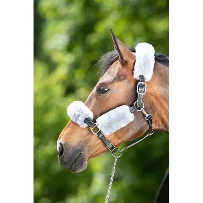 Halter schede HFI