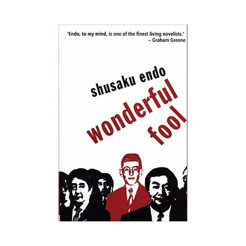 Wonderful Fool - Mike Endicott