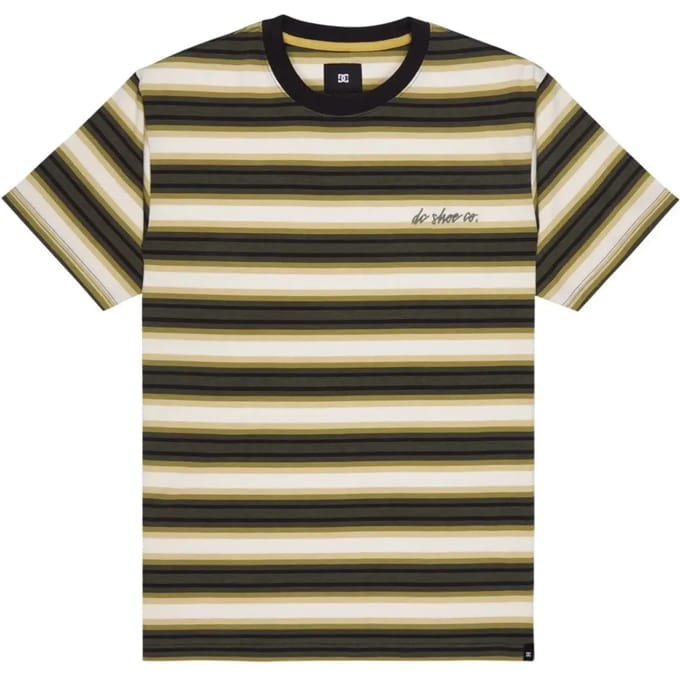 T-shirt DC Shoes Shelter Stripe
