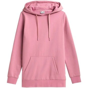 Capuchon sweaters 4F BLD352