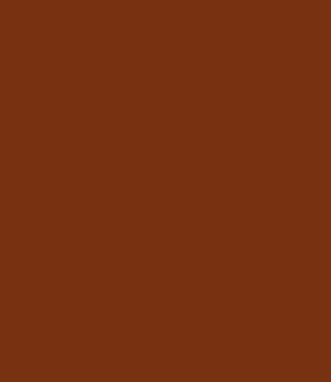 Carte Colori Calcare Kalkverf Terracotta CC046 1 Liter