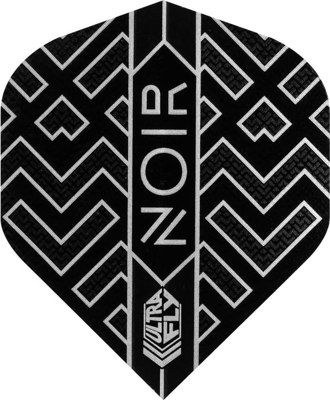 Set Darts met Stalen Punten en Tungsten Barrels voor Professioneel Gebruik