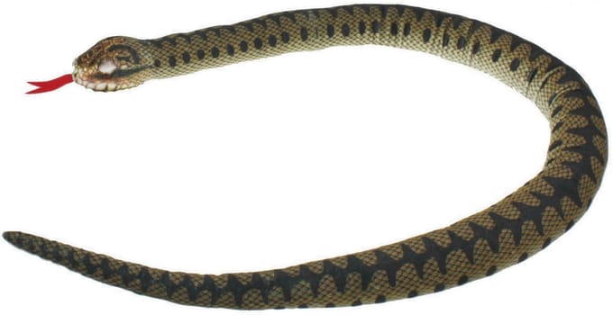 Cornelissen Knuffel slang Adder - 150 cm - pluche - adderslang - knuffeldier - knuffelslang - slangenknuffels - speelgoed