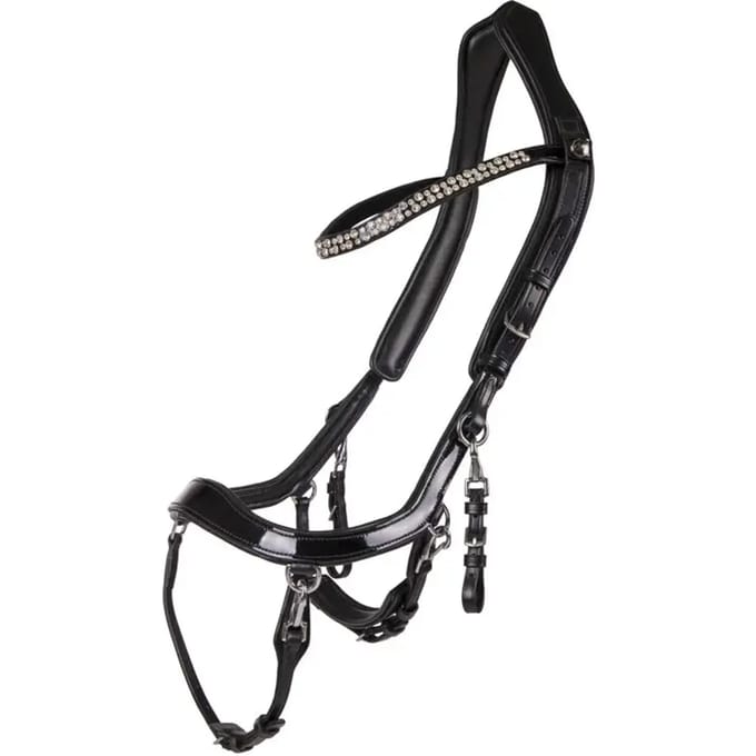 Anatomisch paardrijhoofdstel Presteq FaySport Shine