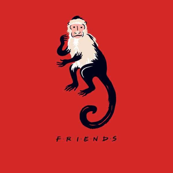 Friends Marcel The Monkey trui - Rood - S