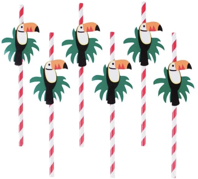 Rietjes Toekan