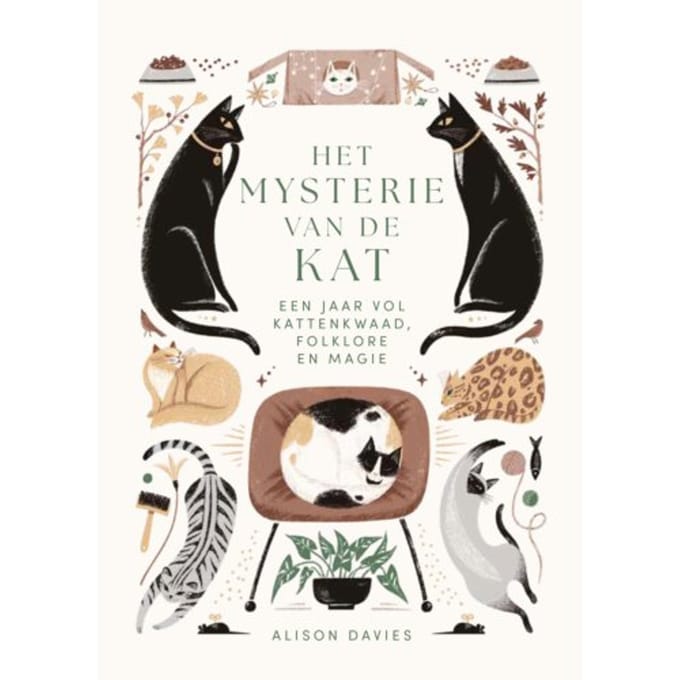 Het Mysterie Van De Kat - Alison Davies