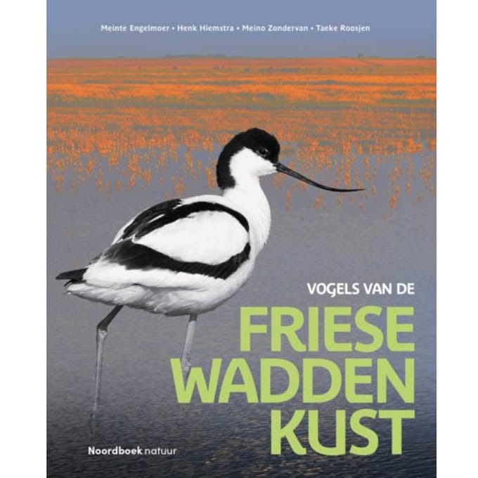 Vogels Van De Friese Waddenkust - Meinte Engelmoer