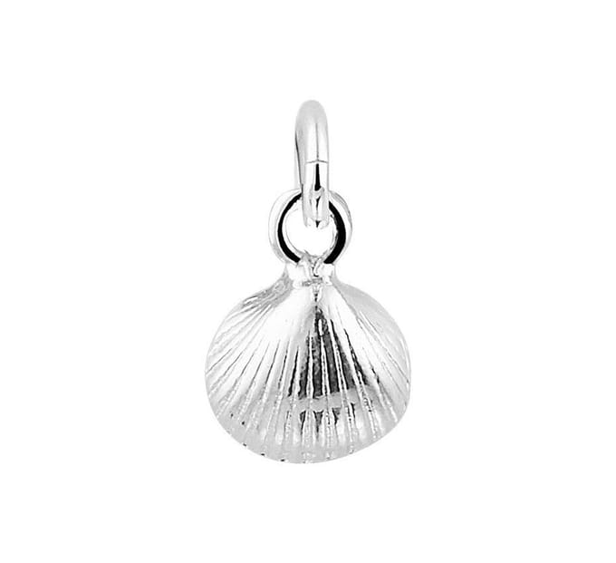 Zilveren Hanger schelp 1021702