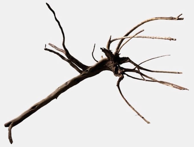 SuperFish Black Spiderwood XL