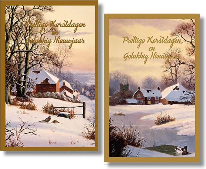 40 Kerstkaarten - Folie - Witte envelop - 10,5 x 16 cm - 2 motieven