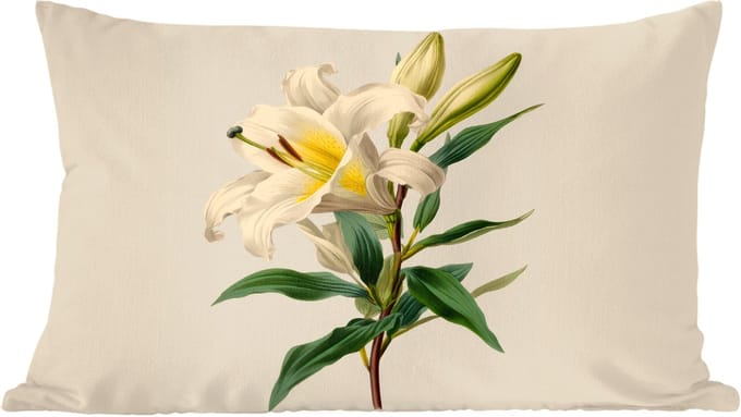 Sierkussens - Kussentjes Woonkamer - 60x40 cm - Lelie - Elegant - Botanisch - Beige