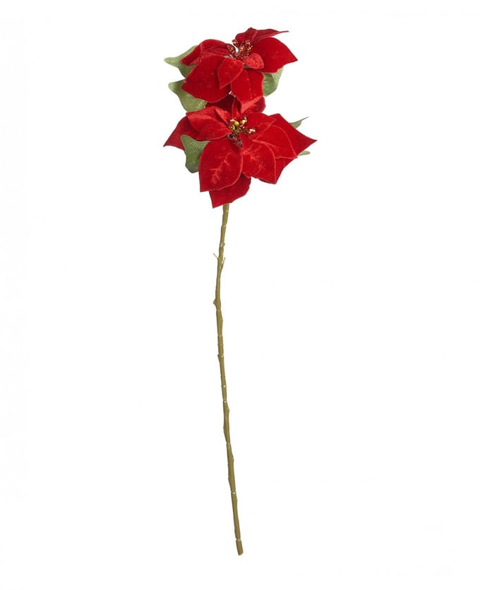 JJA - Rode Poinsettia tak 75 cm, Kerstster