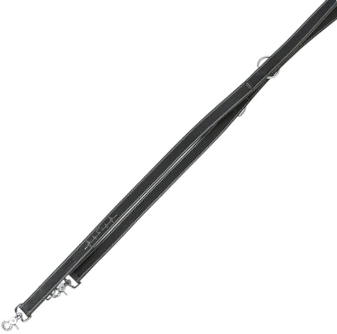 Verstelbare rustieke leren riem voor honden, zwart, 2 meter, 25 mm breed