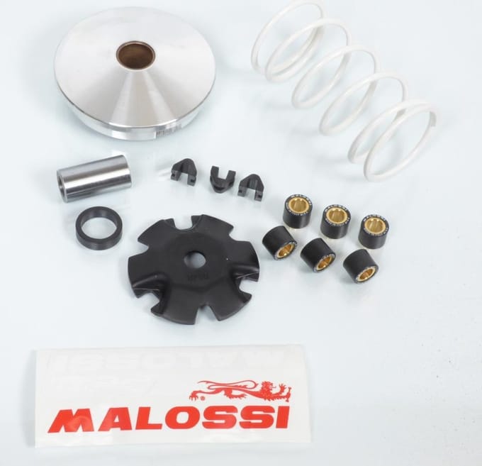 Variateur Malossi voor Scooter Peugeot 50 Ludix trend 2007 tot 2015 518752 / Multivar Nieuw