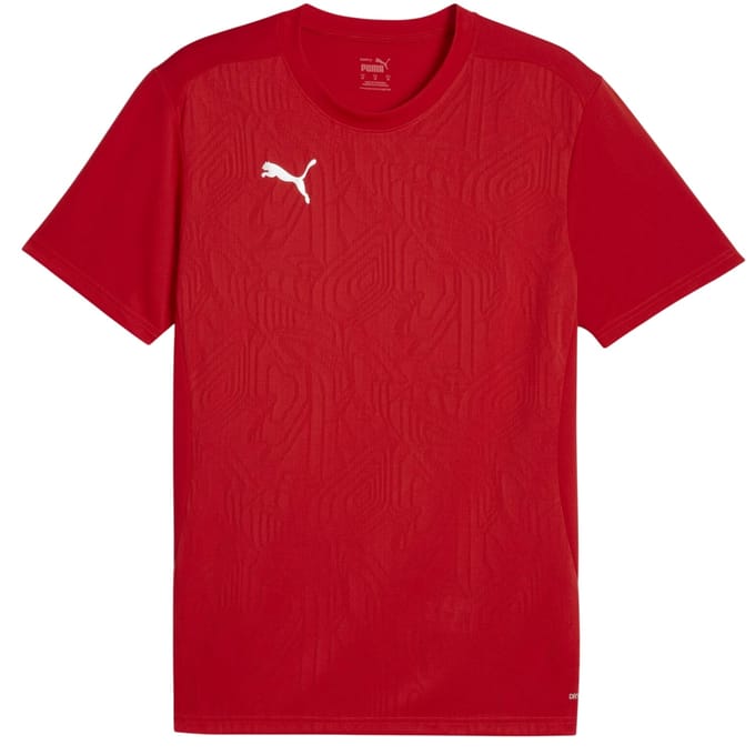 Puma Heren TeamFinal Training T-shirt (Rood/zilver)